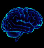 The exercises are part of the neurofeedback - or EEG Biofeedback - training that Wuttke has helped develop with other colleagues. The exercises are part of the neurofeedback - or EEG Biofeedback - training that Wuttke has helped develop with other colleagues.